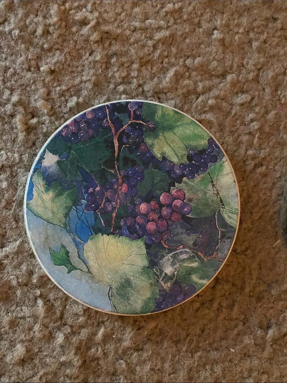 Grapevine Round Coaster Set - Multicolor Decorative Drink Coasters (Set of 4)